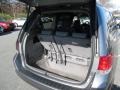 2009 Sterling Gray Metallic Honda Odyssey EX-L  photo #16