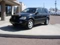 2004 Black Opal Metallic Mercedes-Benz ML 350 4Matic  photo #2