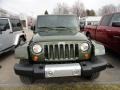 Jeep Green Metallic - Wrangler Sahara 4x4 Photo No. 2