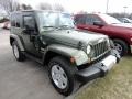 Jeep Green Metallic - Wrangler Sahara 4x4 Photo No. 3