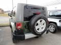 Jeep Green Metallic - Wrangler Sahara 4x4 Photo No. 4