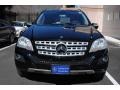 Black - ML 350 4Matic Photo No. 2