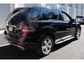Black - ML 350 4Matic Photo No. 6
