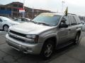 Silverstone Metallic - TrailBlazer LS 4x4 Photo No. 4
