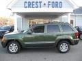 Jeep Green Metallic - Grand Cherokee Limited 4x4 Photo No. 1