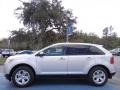 Ingot Silver Metallic 2013 Ford Edge SEL EcoBoost Exterior