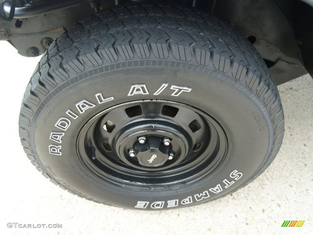 1998 Wrangler SE 4x4 - Deep Amethyst Pearl / Khaki photo #3