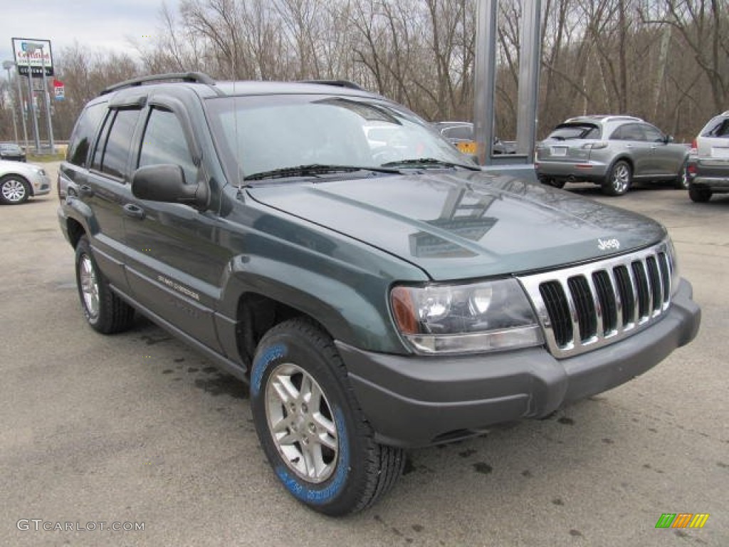 2002 Grand Cherokee Laredo 4x4 - Onyx Green Pearlcoat / Dark Slate Gray photo #4