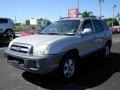 Pewter Gray - Santa Fe GLS 4WD Photo No. 5