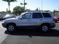 Pewter Gray - Santa Fe GLS 4WD Photo No. 6