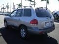 Pewter Gray - Santa Fe GLS 4WD Photo No. 8
