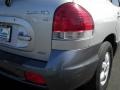 Pewter Gray - Santa Fe GLS 4WD Photo No. 10
