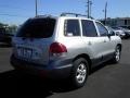 Pewter Gray - Santa Fe GLS 4WD Photo No. 11