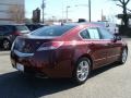 2009 Basque Red Pearl Acura TL 3.5  photo #3