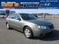 Natural Khaki Green - Sonata GLS Photo No. 1