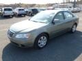 Natural Khaki Green - Sonata GLS Photo No. 3