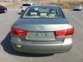 Natural Khaki Green - Sonata GLS Photo No. 6