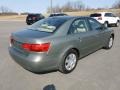 Natural Khaki Green - Sonata GLS Photo No. 7