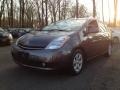 Magnetic Gray Metallic - Prius Hybrid Touring Photo No. 1