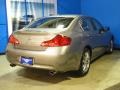 Platinum Graphite - G 37 x Sedan Photo No. 11