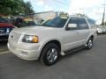 Cashmere Tri Coat Metallic 2005 Ford Expedition Limited Exterior