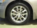 Platinum Graphite - G 37 x Sedan Photo No. 31