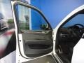 Alpine White - X5 xDrive 50i Photo No. 10