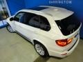 Alpine White - X5 xDrive 50i Photo No. 34