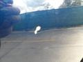 Majestic Blue - Titan SE Crew Cab Photo No. 21