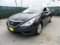 Pacific Blue Pearl - Sonata GLS Photo No. 7