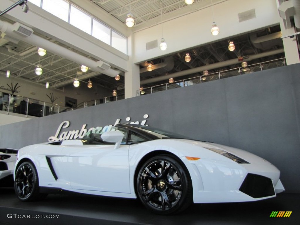 2012 Gallardo LP 560-4 Spyder - Bianco Monocerus / Nero Perseus photo #7