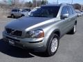 Willow Green Metallic - XC90 3.2 AWD Photo No. 8