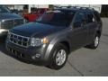 2009 Sterling Grey Metallic Ford Escape XLT  photo #37