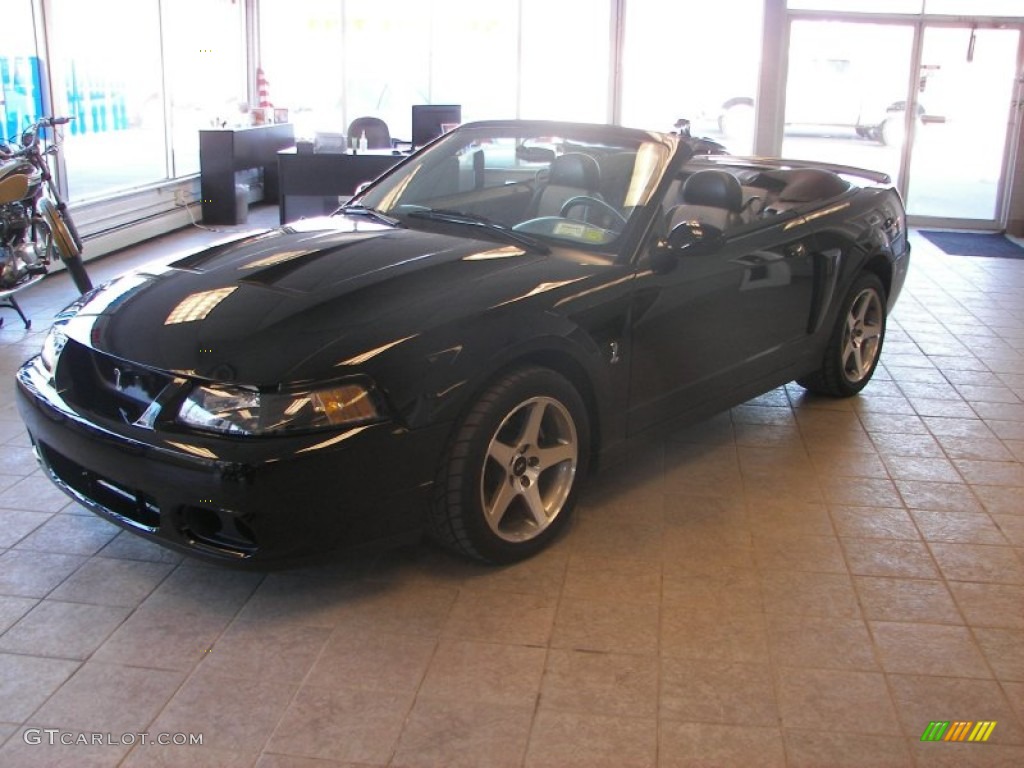 2003 Mustang Cobra Convertible - Black / Dark Charcoal/Medium Graphite photo #1