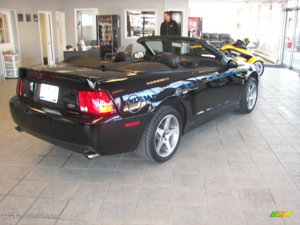 2003 Mustang Cobra Convertible - Black / Dark Charcoal/Medium Graphite photo #3