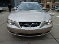 2006 Golden Beige Hyundai Sonata GLS  photo #10