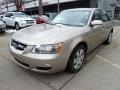 Golden Beige - Sonata GLS Photo No. 11