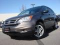 2010 Urban Titanium Metallic Honda CR-V EX AWD  photo #1