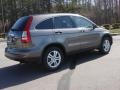 2010 Urban Titanium Metallic Honda CR-V EX AWD  photo #6