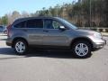 2010 Urban Titanium Metallic Honda CR-V EX AWD  photo #7