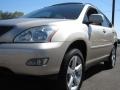 2004 Savannah Beige Metallic Lexus RX 330  photo #10