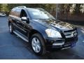 Black 2010 Mercedes-Benz GL 450 4Matic Exterior