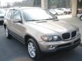 Kalahari Beige Metallic - X5 3.0i Photo No. 2