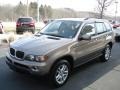 Kalahari Beige Metallic - X5 3.0i Photo No. 4