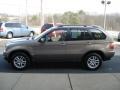 Kalahari Beige Metallic - X5 3.0i Photo No. 5