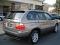 Kalahari Beige Metallic - X5 3.0i Photo No. 8