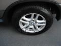 Kalahari Beige Metallic - X5 3.0i Photo No. 12