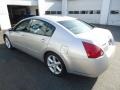 Liquid Silver Metallic - Maxima 3.5 SE Photo No. 7
