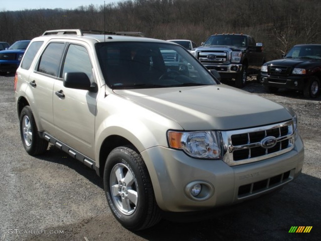 Gold Leaf Metallic 2010 Ford Escape XLT 4WD Exterior Photo #61996947