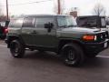 2011 Army Green Toyota FJ Cruiser 4WD  photo #2